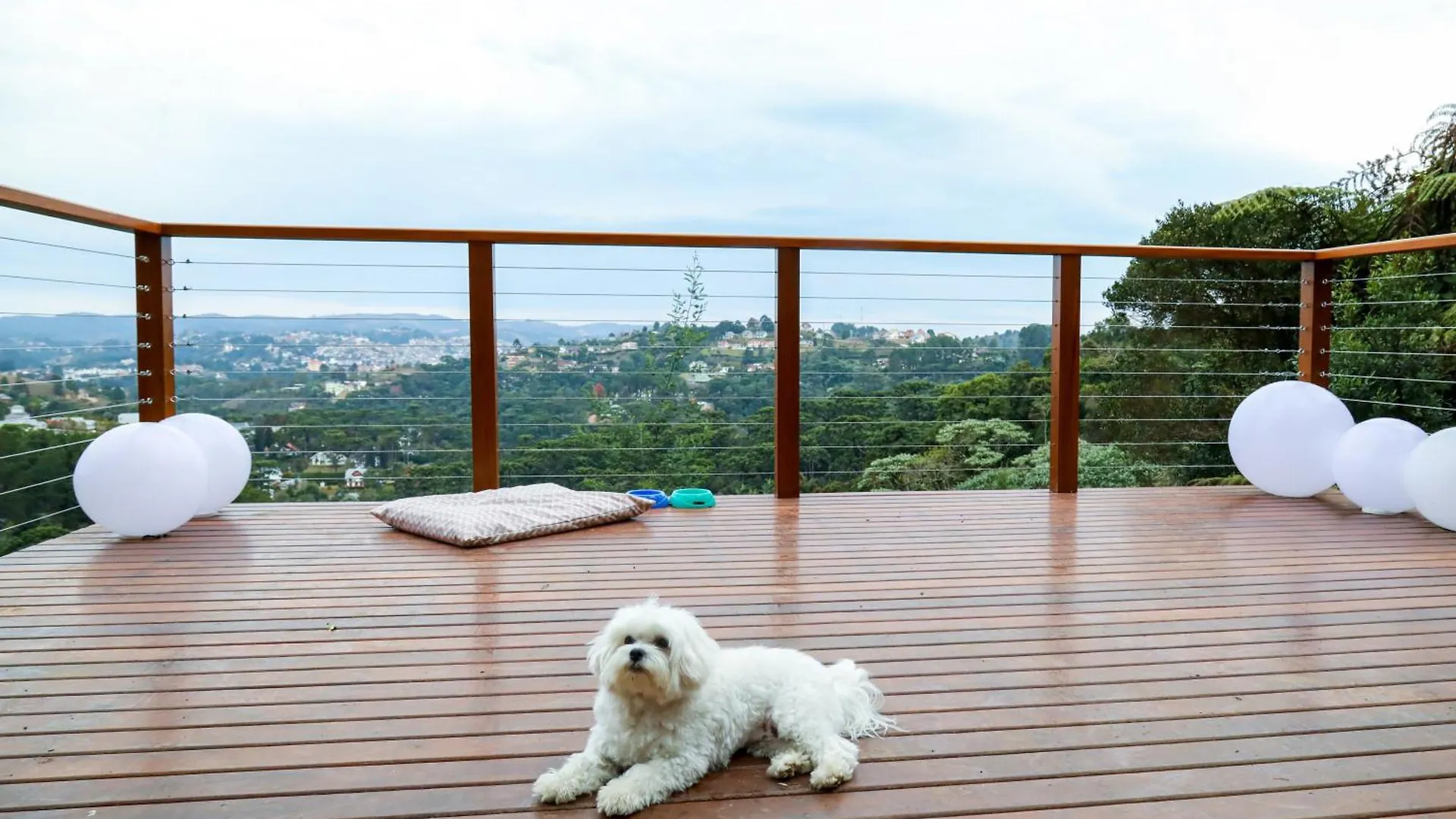 Hotel Boutique Carpe Diem 1Q-1B Campos Do Jordao 0*,  Brazil