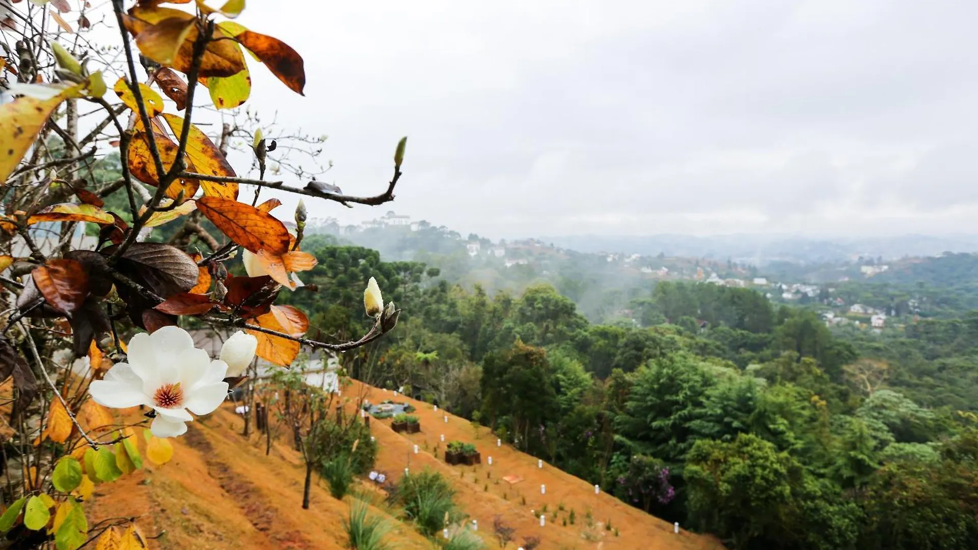Aparthotel Hotel Boutique Carpe Diem 1Q-1B Campos Do Jordao